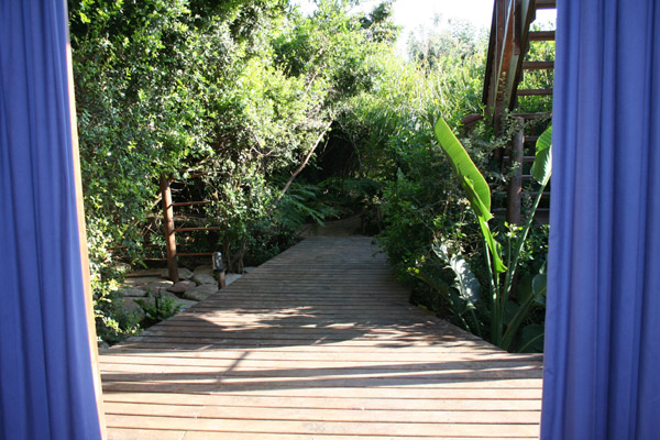 looking out toward the deck